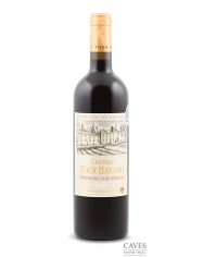 MONTAGNE SAINT EMILION 2009 ROUGE Château Tour Bayard 