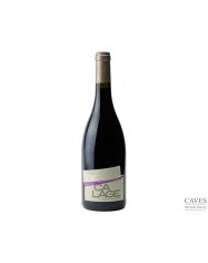 DOMAINE DECALAGE LANGUEDOC Vieux Carignan Rouge 2020 / 2021 75cl