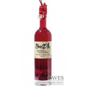 PUNCHS AU RHUM Fruits Rouges